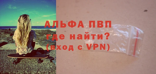 эйфоретик Богданович