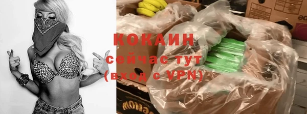 эйфоретик Богданович