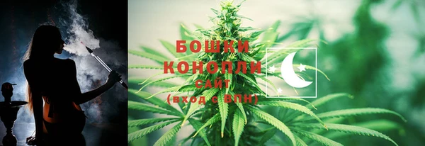 apvp Богородицк