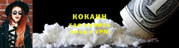 эйфоретик Богданович