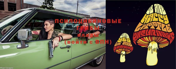 apvp Богородицк